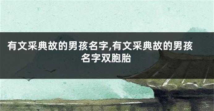 有文采典故的男孩名字,有文采典故的男孩名字双胞胎