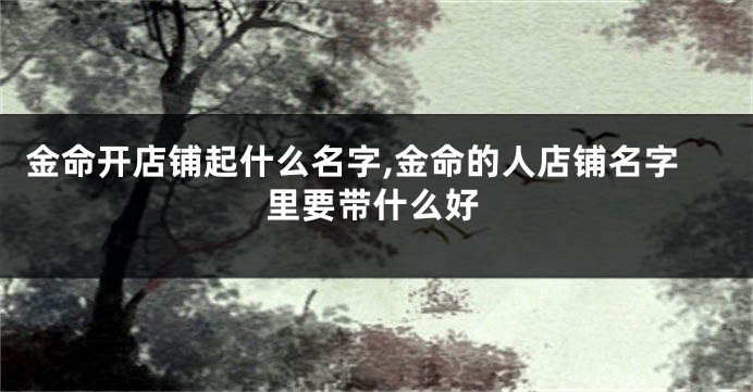 金命开店铺起什么名字,金命的人店铺名字里要带什么好