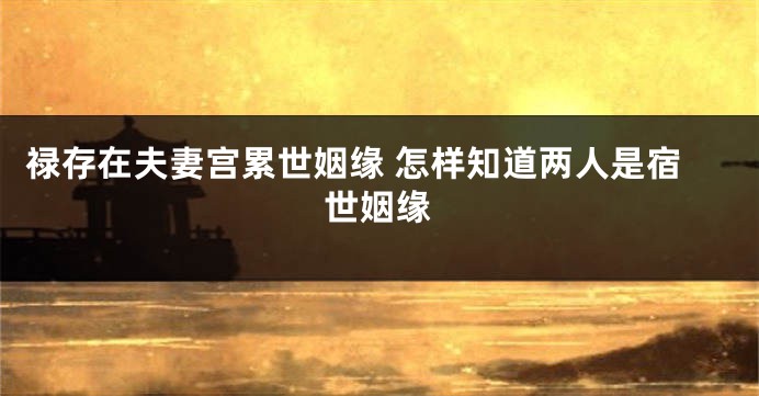 禄存在夫妻宫累世姻缘 怎样知道两人是宿世姻缘