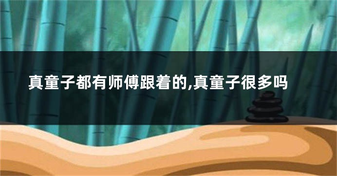 真童子都有师傅跟着的,真童子很多吗