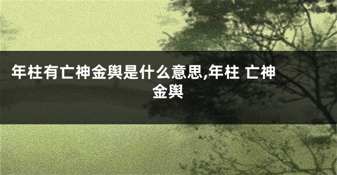 年柱有亡神金舆是什么意思,年柱 亡神 金舆