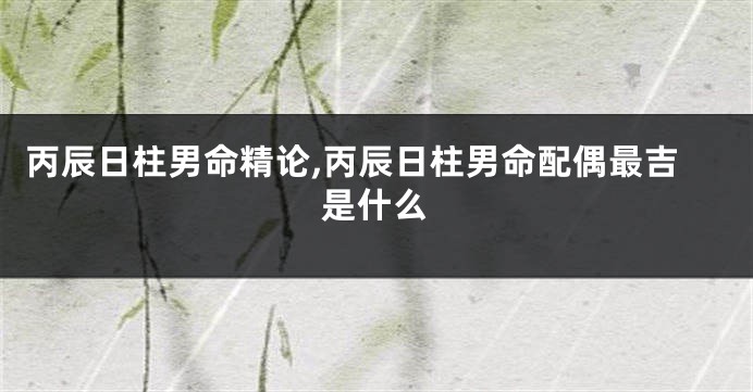 丙辰日柱男命精论,丙辰日柱男命配偶最吉是什么