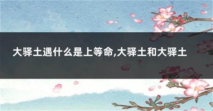 大驿土遇什么是上等命,大驿土和大驿土