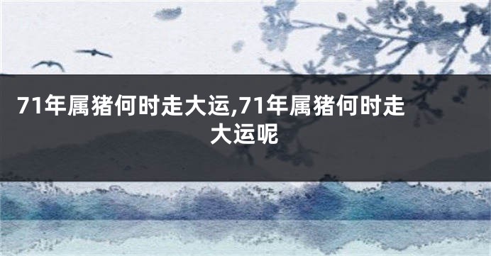 71年属猪何时走大运,71年属猪何时走大运呢