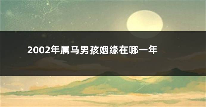 2002年属马男孩姻缘在哪一年