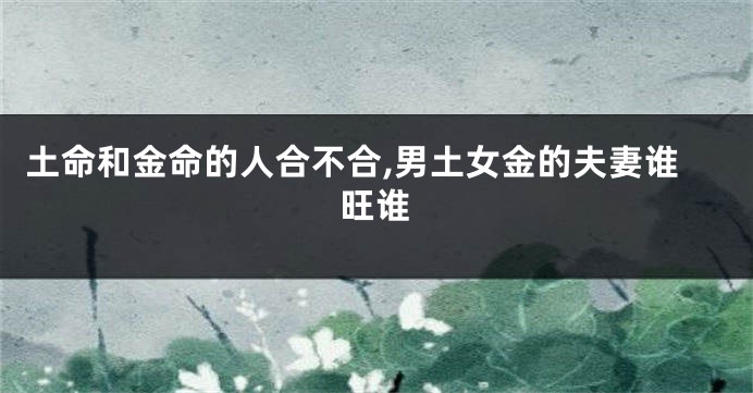 土命和金命的人合不合,男土女金的夫妻谁旺谁