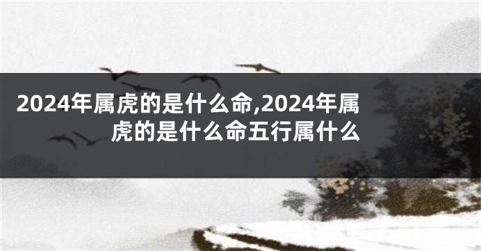 2024年属虎的是什么命,2024年属虎的是什么命五行属什么
