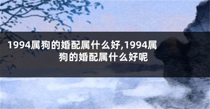 1994属狗的婚配属什么好,1994属狗的婚配属什么好呢