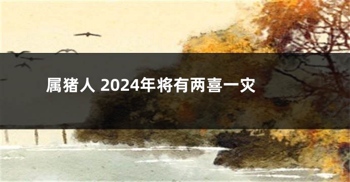 属猪人 2024年将有两喜一灾