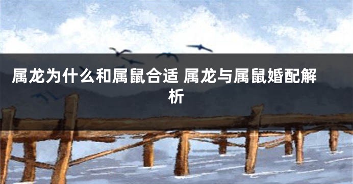 属龙为什么和属鼠合适 属龙与属鼠婚配解析