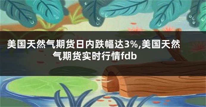 美国天然气期货日内跌幅达3%,美国天然气期货实时行情fdb
