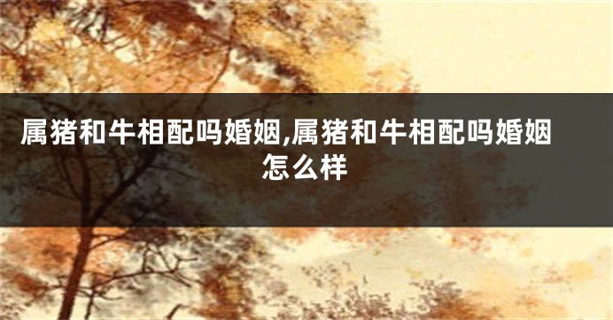 属猪和牛相配吗婚姻,属猪和牛相配吗婚姻怎么样
