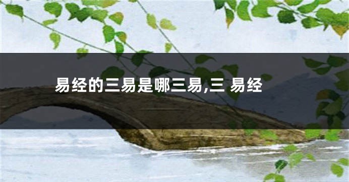 易经的三易是哪三易,三 易经