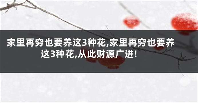 家里再穷也要养这3种花,家里再穷也要养这3种花,从此财源广进!
