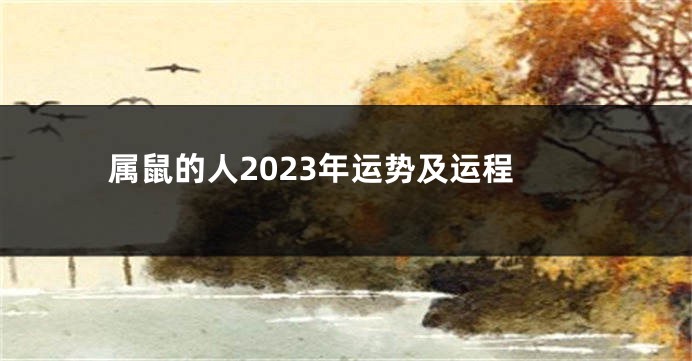 属鼠的人2023年运势及运程