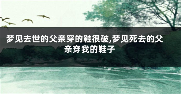 梦见去世的父亲穿的鞋很破,梦见死去的父亲穿我的鞋子