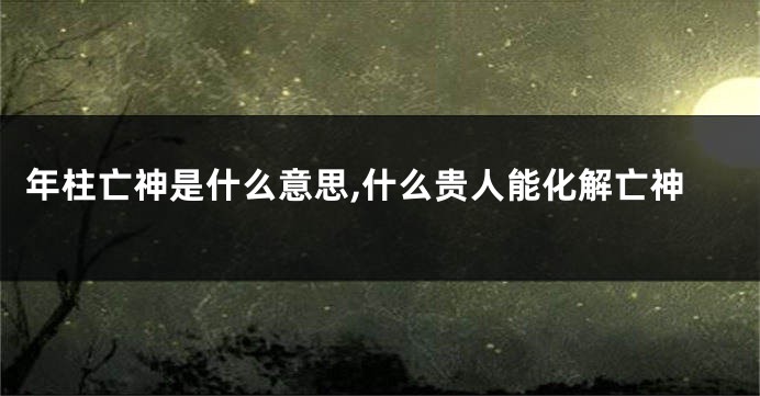 年柱亡神是什么意思,什么贵人能化解亡神