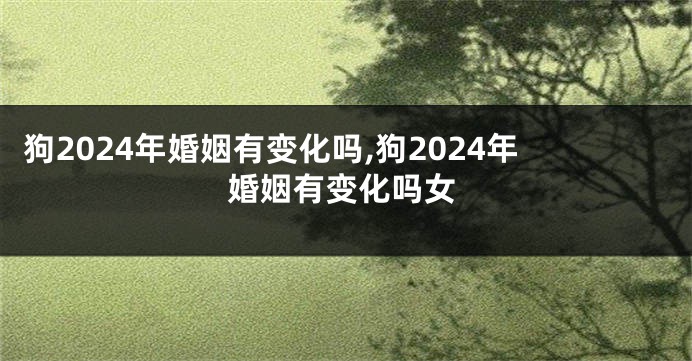 狗2024年婚姻有变化吗,狗2024年婚姻有变化吗女