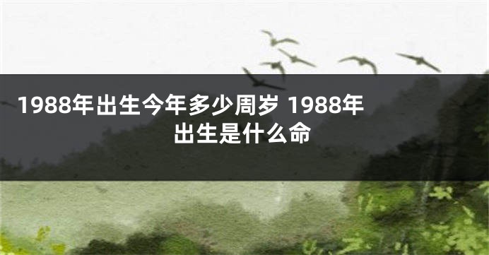 1988年出生今年多少周岁 1988年出生是什么命