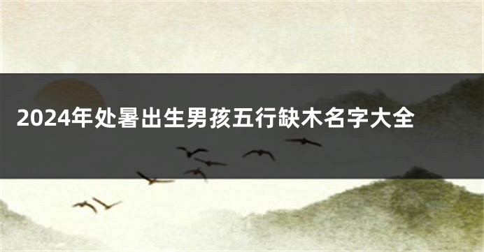 2024年处暑出生男孩五行缺木名字大全