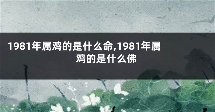 1981年属鸡的是什么命,1981年属鸡的是什么佛