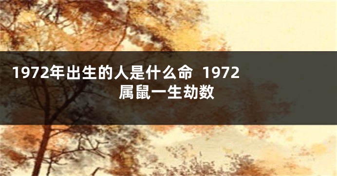 1972年出生的人是什么命  1972属鼠一生劫数