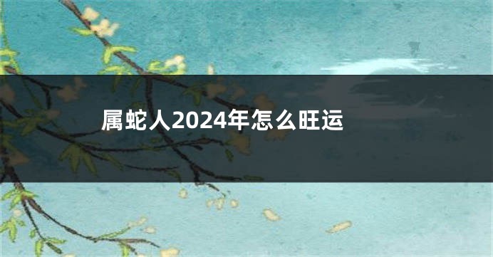属蛇人2024年怎么旺运