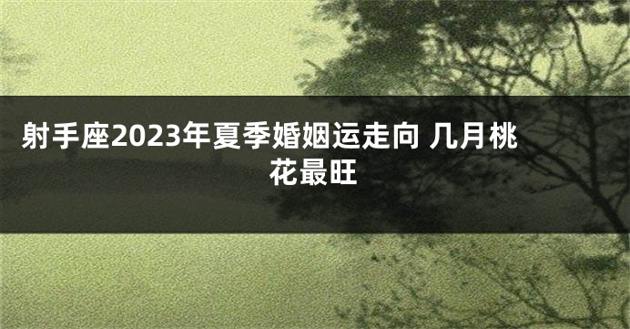 射手座2023年夏季婚姻运走向 几月桃花最旺