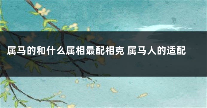 属马的和什么属相最配相克 属马人的适配