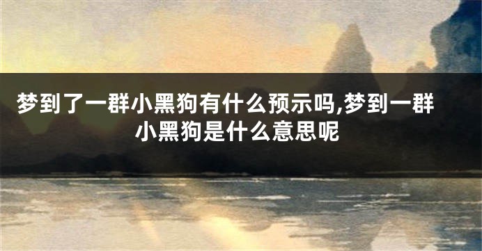 梦到了一群小黑狗有什么预示吗,梦到一群小黑狗是什么意思呢