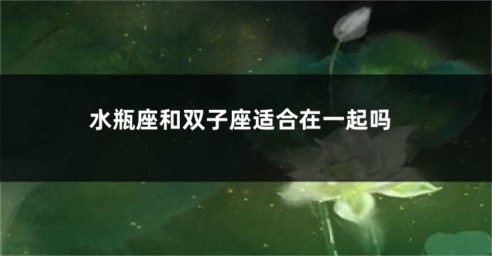 水瓶座和双子座适合在一起吗