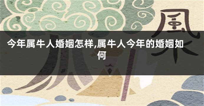 今年属牛人婚姻怎样,属牛人今年的婚姻如何