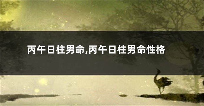 丙午日柱男命,丙午日柱男命性格