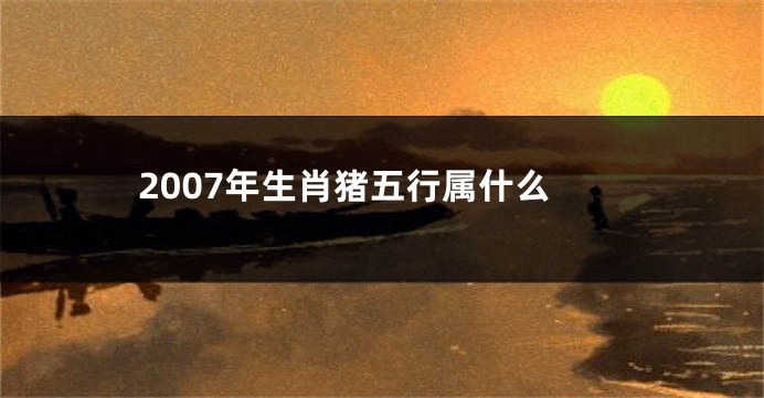2007年生肖猪五行属什么