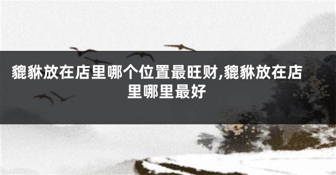 貔貅放在店里哪个位置最旺财,貔貅放在店里哪里最好