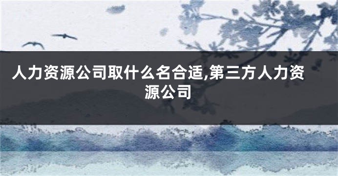 人力资源公司取什么名合适,第三方人力资源公司