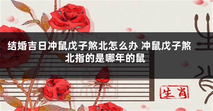 结婚吉日冲鼠戊子煞北怎么办 冲鼠戊子煞北指的是哪年的鼠