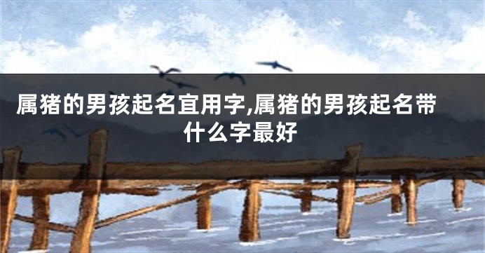 属猪的男孩起名宜用字,属猪的男孩起名带什么字最好
