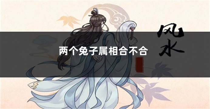 两个兔子属相合不合
