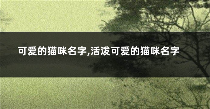 可爱的猫咪名字,活泼可爱的猫咪名字