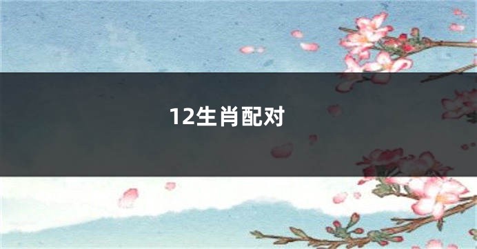 12生肖配对