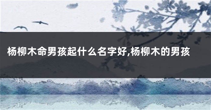 杨柳木命男孩起什么名字好,杨柳木的男孩