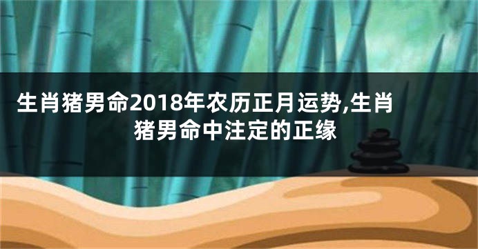 生肖猪男命2018年农历正月运势,生肖猪男命中注定的正缘