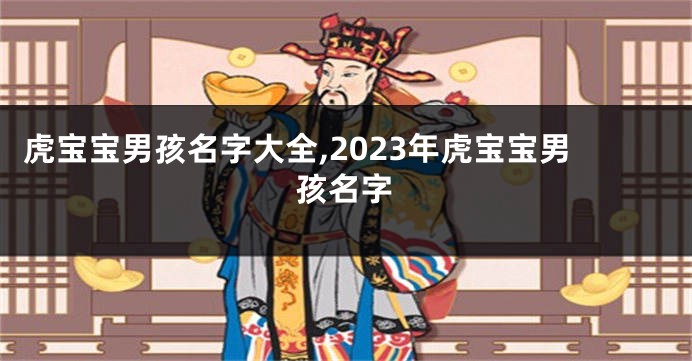 虎宝宝男孩名字大全,2023年虎宝宝男孩名字
