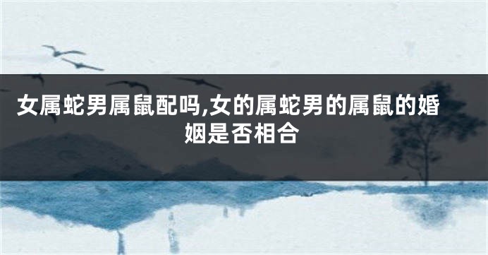 女属蛇男属鼠配吗,女的属蛇男的属鼠的婚姻是否相合