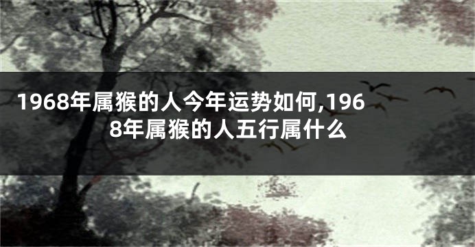1968年属猴的人今年运势如何,1968年属猴的人五行属什么