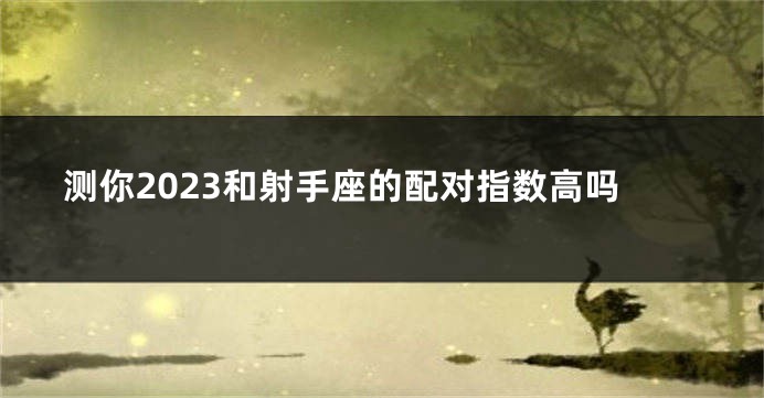 测你2023和射手座的配对指数高吗