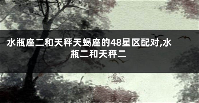 水瓶座二和天秤天蝎座的48星区配对,水瓶二和天秤二