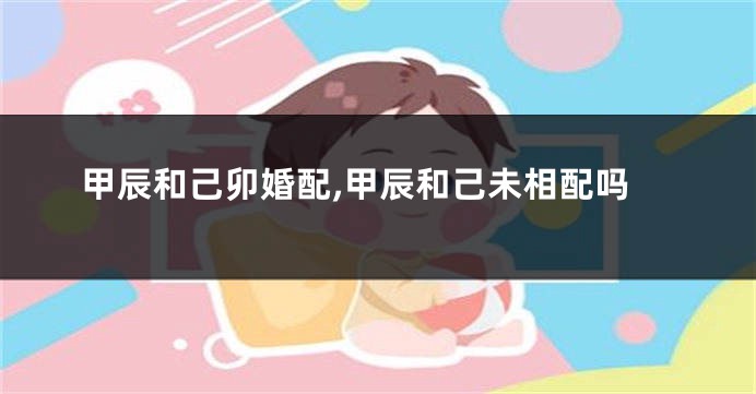 甲辰和己卯婚配,甲辰和己未相配吗