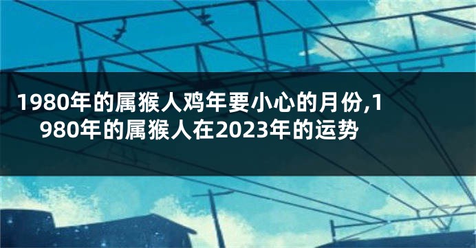 1980年的属猴人鸡年要小心的月份,1980年的属猴人在2023年的运势